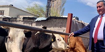 Gürer: “Buzağı ölümleri önlenirse et açığı biter”