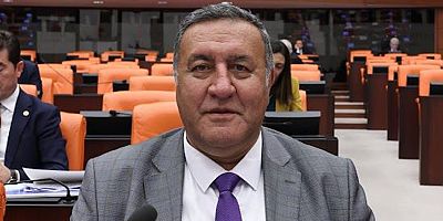 Gürer: “Çalışma yaşamı sorunlar yumağı”