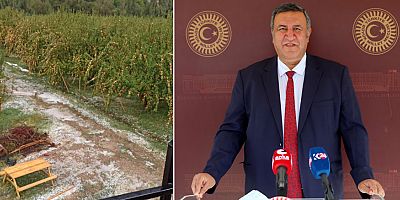 Gürer: “Çamardı bölgesi  afet kapsamına alınmalı”