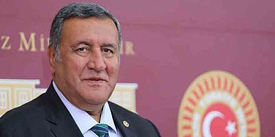 Gürer: “Cevizde ağaç çok. Açık var. İthalatla çözüm aranıyor”