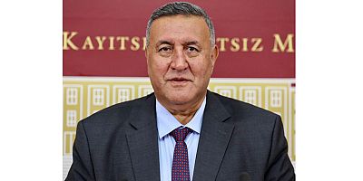 Gürer: “Ceza var, tahsilat yok”