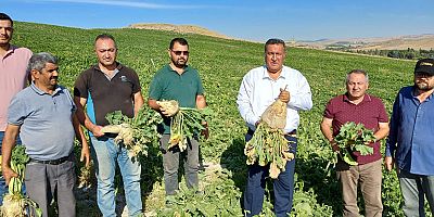 Gürer: Çiftçinin borcu 55 aydır aralıksız artıyor