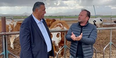 Gürer: “Çiğ süt krize doğru koşuyor”