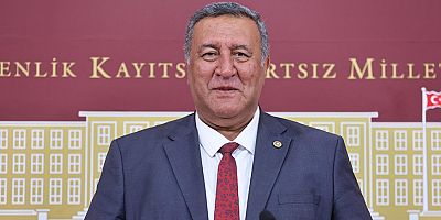 Gürer: “Çiğ süt üreticisi zarar ediyor”