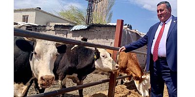 Gürer: “Çiğ sütün tavsiye fiyatı  sanayiciye yarıyor”