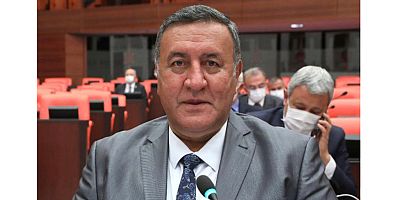 Gürer: “Çocukların sorunları farklılaşıyor”