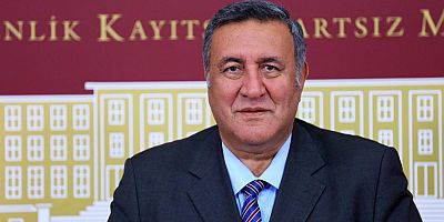 Gürer: “Çok sayıda tarihi eser, restore edilmeyi bekliyor”