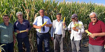 Gürer: “Cumhurbaşkanı kararı mısır üreticisine darbedir”