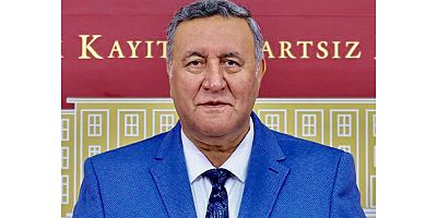 Gürer: Dar gelirliler aydınlanma, ısınma ve barınmada dertliler