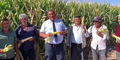 Gürer’den TMO’ya mısır alım fiyatı için acil çağrı