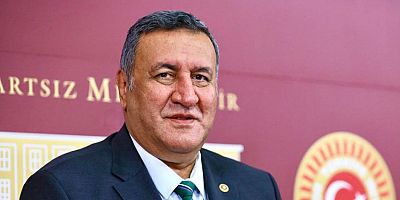 Gürer: “Deniz Salyası ile denizler alarm  zili çalıyor”