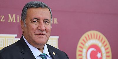 Gürer: “Dericilik sektörü de sorunlu”