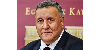 Gürer: “Dünyada artan gıda fiyatları, gıda erişiminde sorun yaratabilir”