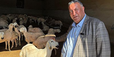 Gürer: “Emekli maaşı ile kurban alınamazken asgari ücrete de kurbanlık koyun zor”