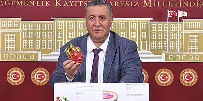 Gürer: “Emekli maaşlarının enflasyon karşısında korunması gereklidir”