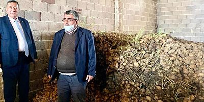 Gürer: “En az 100 bin ton patates çürüdü”