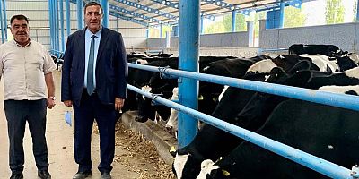 Gürer: “Et ve sütte sorun yaşanmaması için besiciyi dinleyin ”
