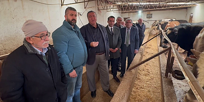 Gürer: Et ve sütte zor sürece giriliyor