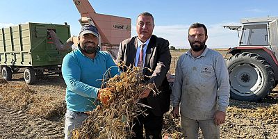 Gürer: “Fasulyeyi dahi yönetemez isek tarımda sorunlar artar”