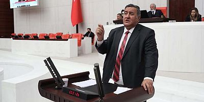Gürer: “Gebe ve süt inekleri kesime gidiyor”