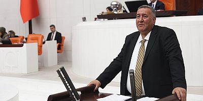 Gürer: GES, tarım arazileri ile meraları tüketiyor