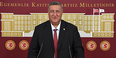 Gürer: “Gıda Zehirlenmelerinde Denetim Yetersizliği”