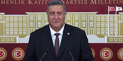Gürer: “Gıdada sorunlar katlanıyor”