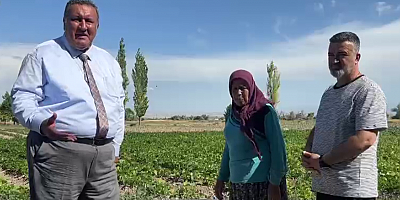 Gürer: “Girdi maliyetlerindeki artış rafa yansıyor”