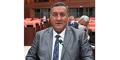 Gürer: “Göç ekonomik ve sosyal sorunları da beraberinde getiriyor”