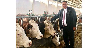 Gürer:  “Göz göre göre hayvan ithalatının kapısı aralandı”