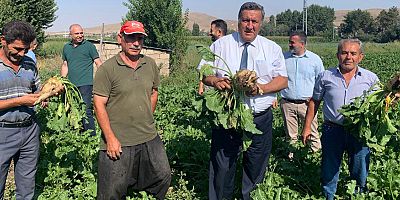 Gürer: “Gözler şeker pancarı taban fiyatında”