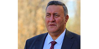 Gürer, gurbetçilerimizin yaşadığı sorunları Meclis gündemine taşıdı