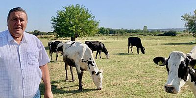 Gürer: “Hastalık yayılıyor, Bakanlığın haberi yok!”