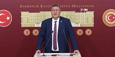 Gürer: “Hastaneleri mesken tutmuşuz”
