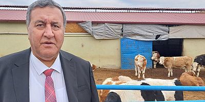 Gürer: “Hayvan hastalıkları da et açığına neden oluyor”
