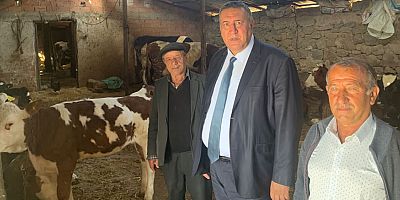 Gürer: “Hayvan varlığında Avrupa’da birinciyiz ifadesi de algı oyunu”