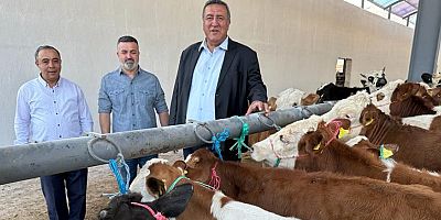 Gürer: “Hayvancılığın geleceği için Veteriner İşleri Genel Müdürlüğü kurulmalı”