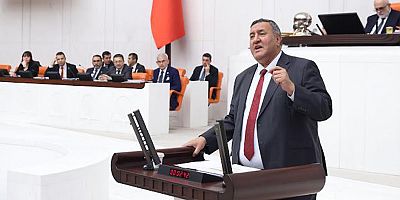 Gürer: “Hayvancılık yapay et için mi soruna dönüştürülüyor?”