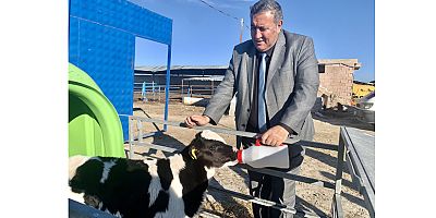 Gürer: “Hayvancılık yapmak her geçen gün imkansızlaşıyor”