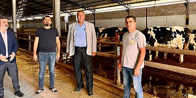 Gürer: “Hayvancılıkta alarm zilleri çalıyor”