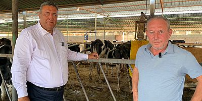 Gürer: “Hayvancılıkta bir kez daha tehlike çanları çalıyor”