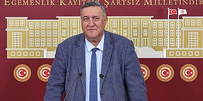 Gürer: “Hayvancılıkta buzağı ölümü ve hastalığında önemli sorun”