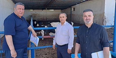 Gürer: “Hayvancılıkta ithalatçı lobisi yerli üretimin önünü kesiyor” 