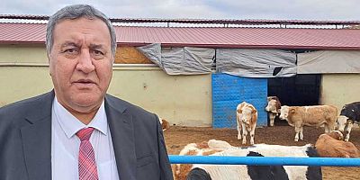 Gürer: “Hayvancılıkta yaşanan sorunları meclis araştırmalıdır”