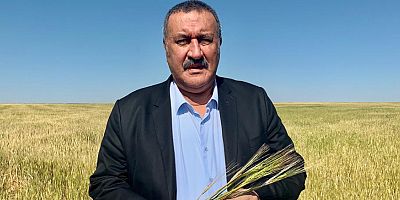 Gürer: “Hazine arazilerinin üretim yapan çiftçilere satışı için düzenleme yapılmalı”