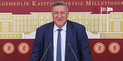 Gürer: “Her köye bir ziraat mühendisi görevlendirilsin”