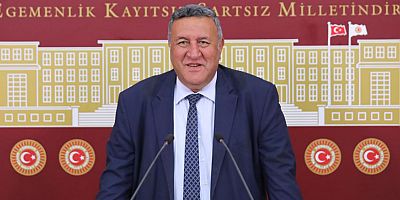 Gürer: “Her köye bir ziraat mühendisi görevlendirilsin”