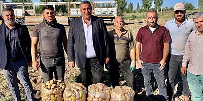 Gürer: “Hububattan sonra en çok tüketilen patateste de üretim düşüyor”