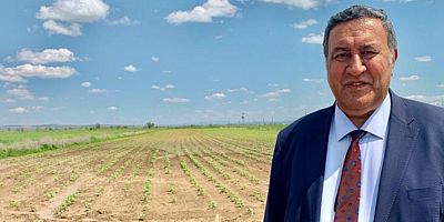 Gürer: İhracata kırmızı, ithalata yeşil ışık