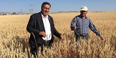 Gürer: “İktidar tarımda ithalatçı anlayıştan vazgeçmiyor”